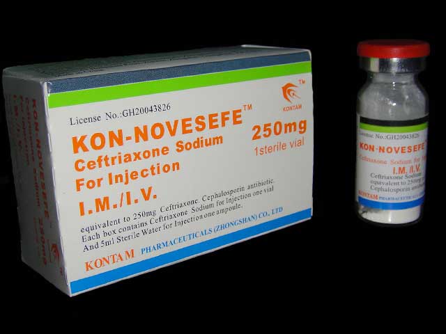 KON-NOVESEFE